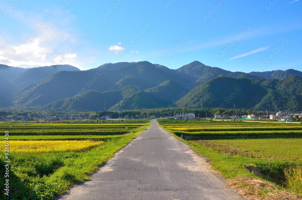 Naklejka premium 田園風景