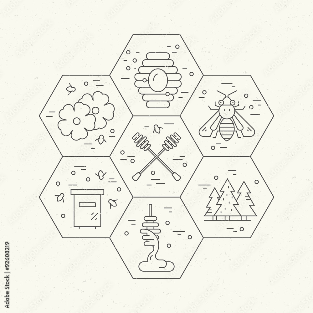 Honeycomb with items Honeycomb with items