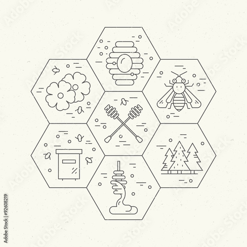 Honeycomb with items