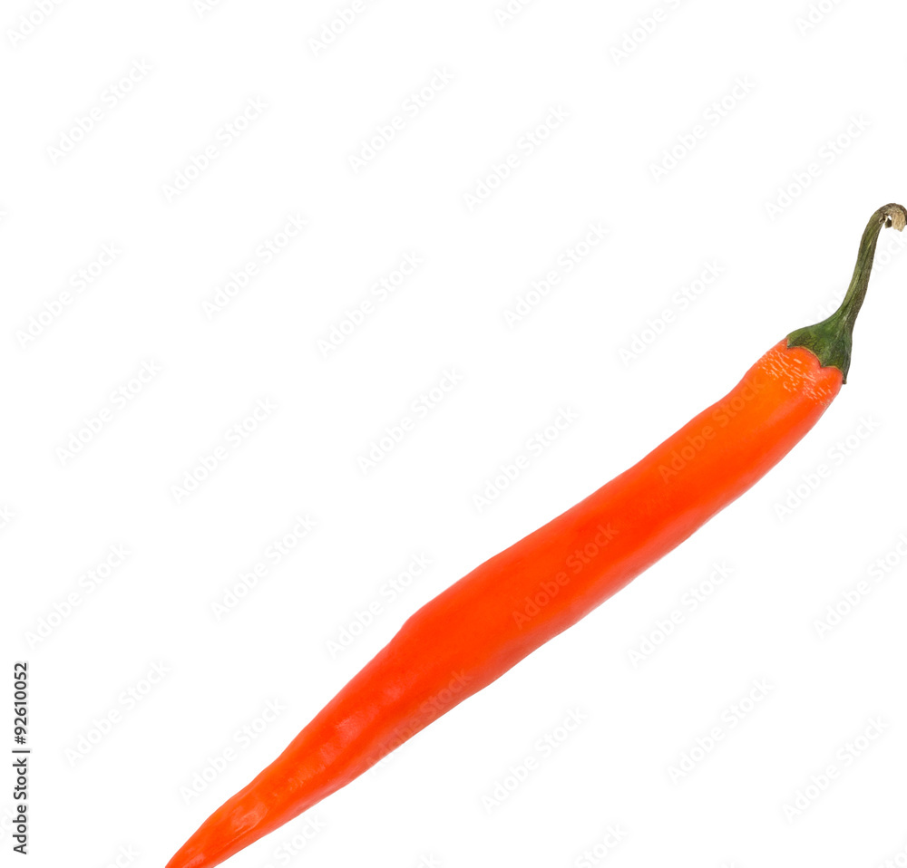 Red hot chilli pepper on white background Red hot chilli pepper on white background