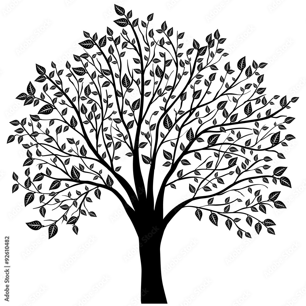 Obraz premium tree with leaves vector