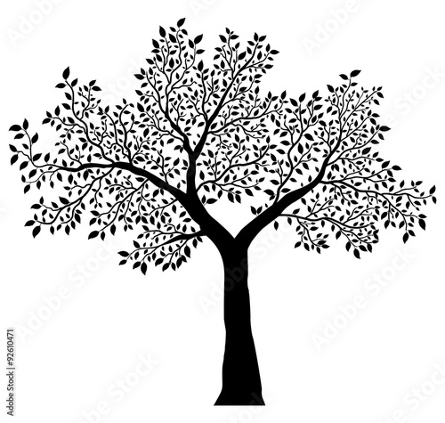 tree with leaves