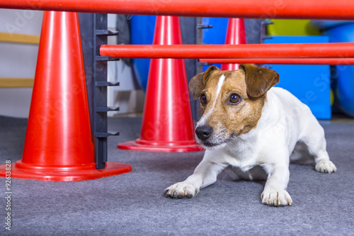 Agility Training