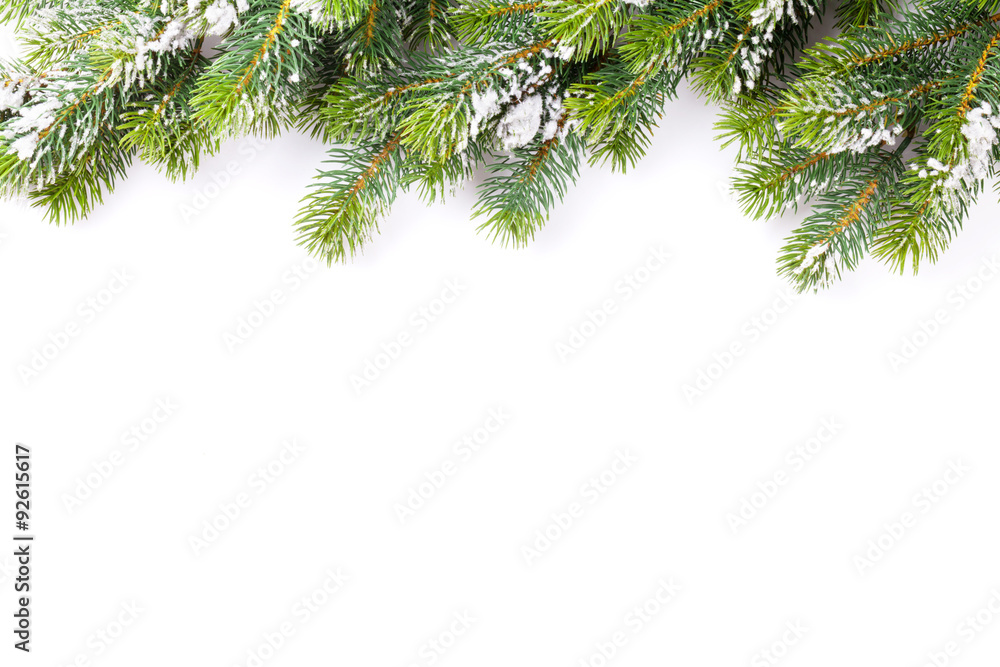 Christmas tree branch with snow Christmas tree branch with snow