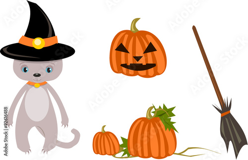 Cat in the hat with pumpkin