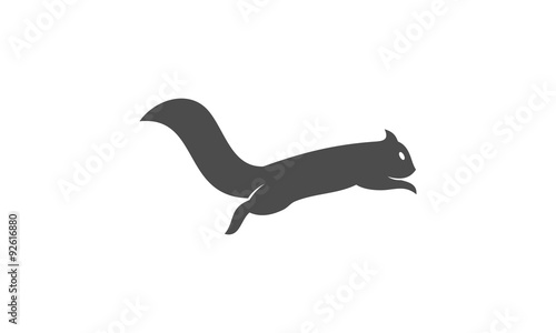 squirrel vector icon logo design template