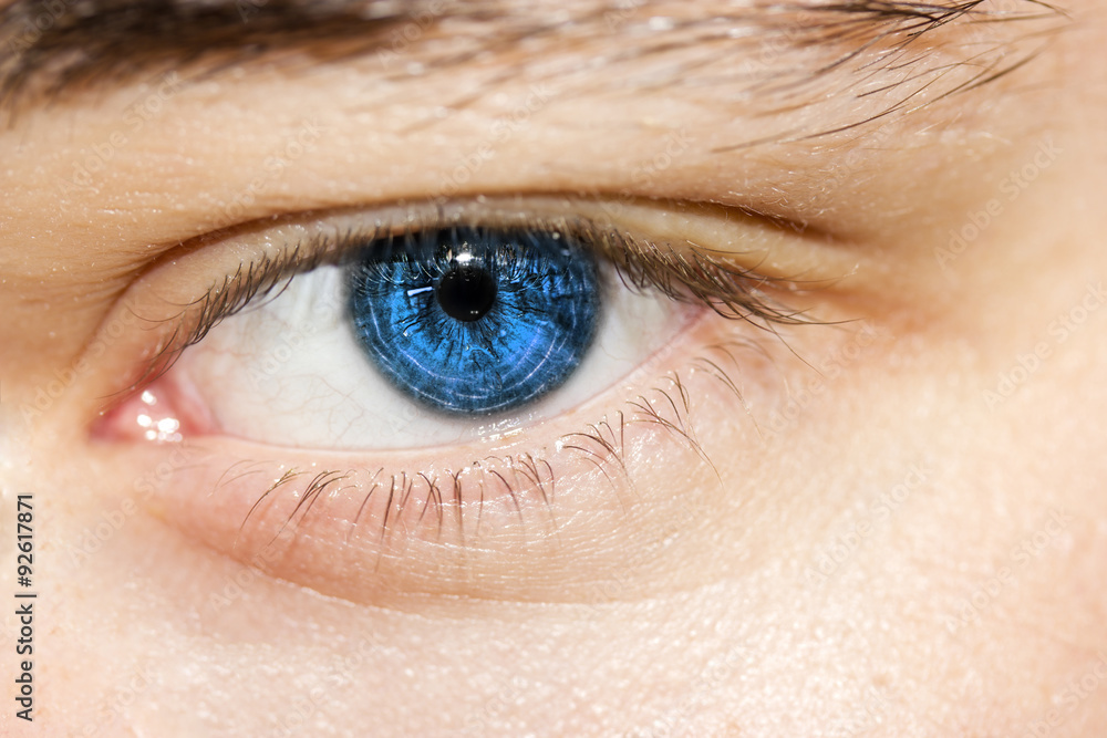 Obraz premium insightful look blue eye