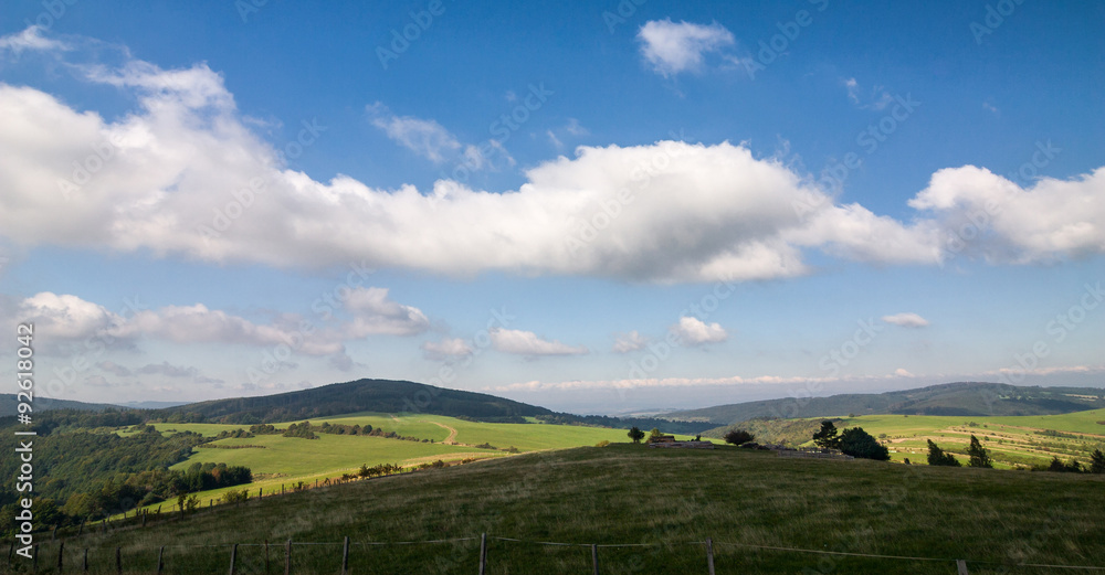 Fototapeta premium Summer landscape with green fields and blue sky