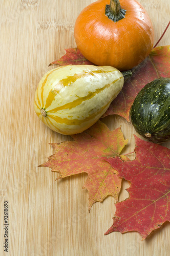 Thanksgiving Pumpkins, Squash and Autumn Leaves