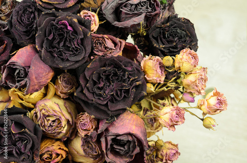Photography A lot of wilted rose