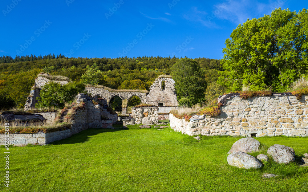 Ruins of Alvastra Abbey – a Cistercian monastery in southern Sweden dating back to the first half of the 12th century 