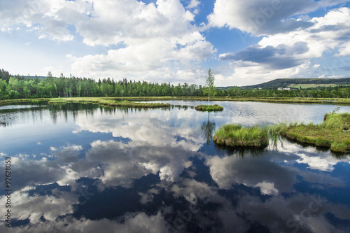 peat-bog Šumava