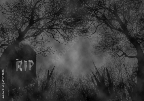 Halloween theme of dark forest