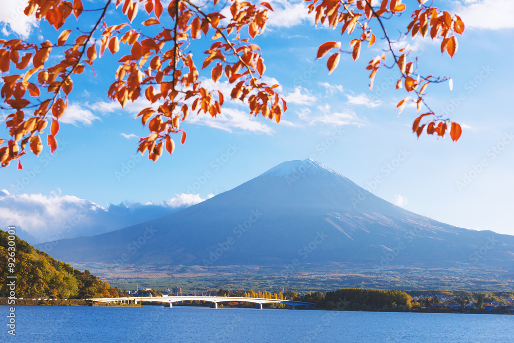 Fototapeta premium Mount Fuji