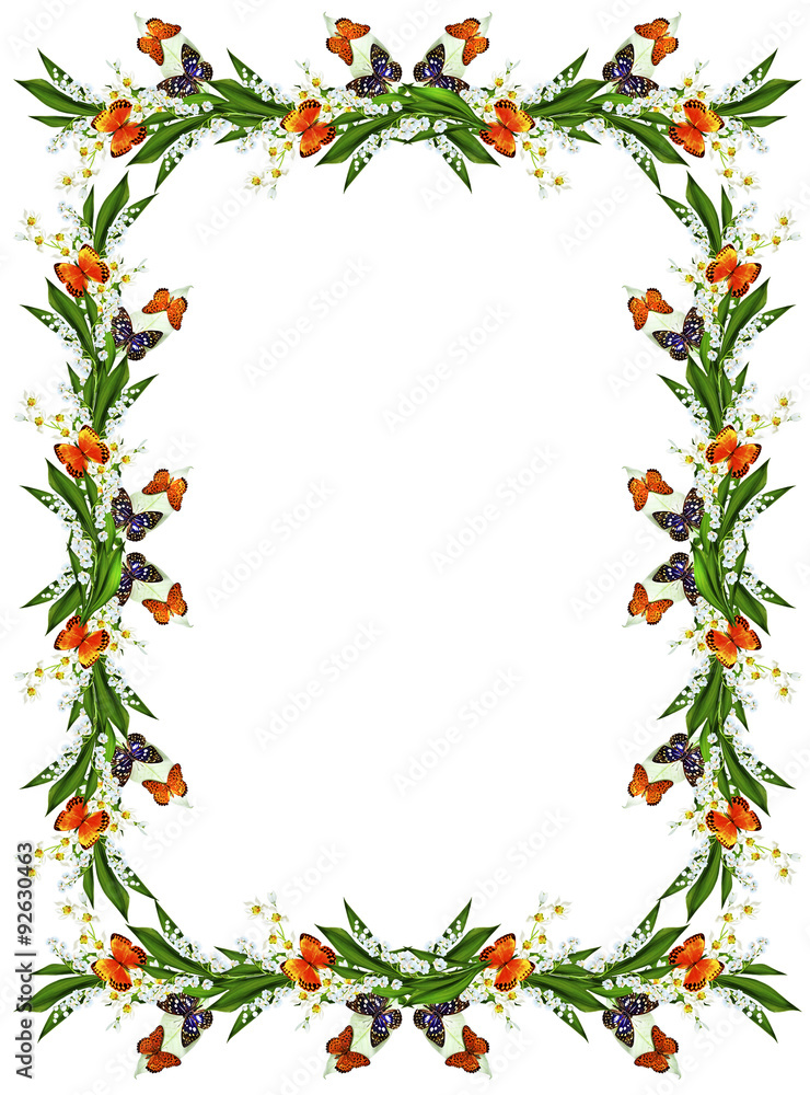 Fototapeta premium branch of flowers and butterflies isolated on a white background