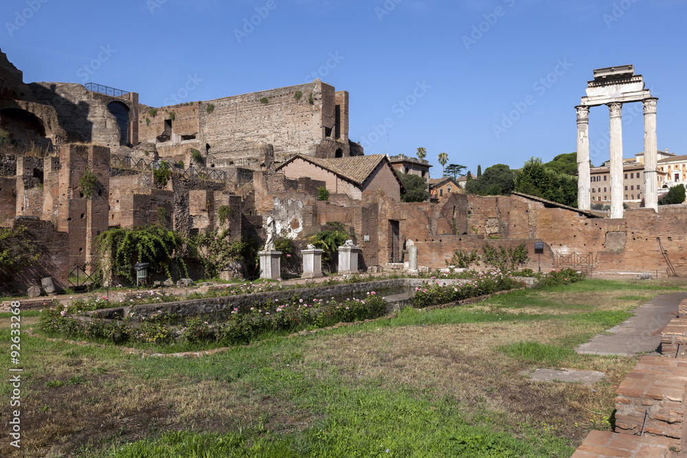 House of the Vestal Virgins at the Palatine Hill