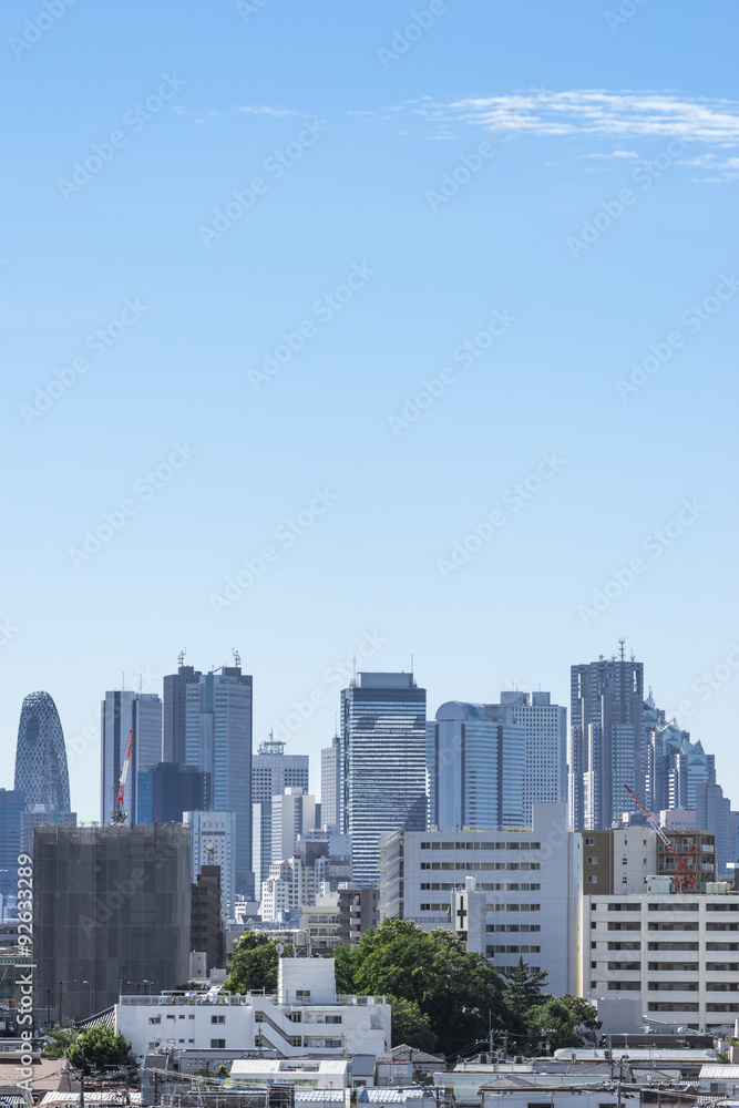 池袋方面から望む新宿の高層ビル群