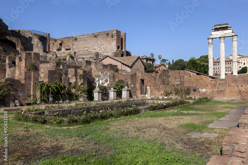 Photography House of the Vestal Virgins at the Palatine Hill