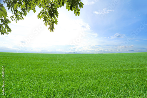 Nature Background