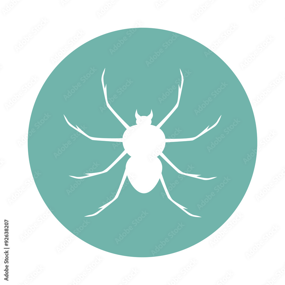 Spider icon