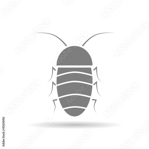 Cockroach icon
