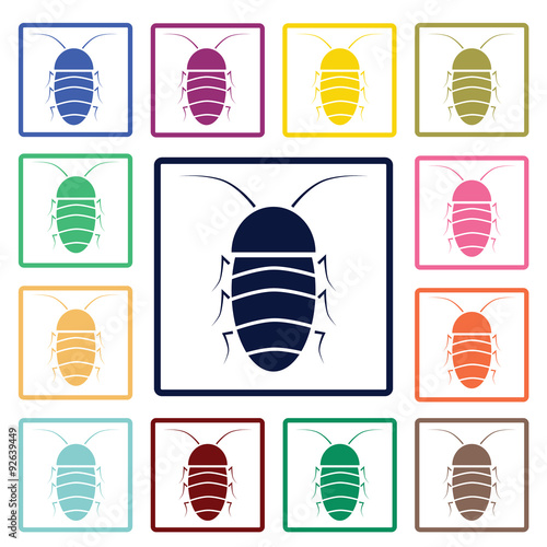 Cockroach icon