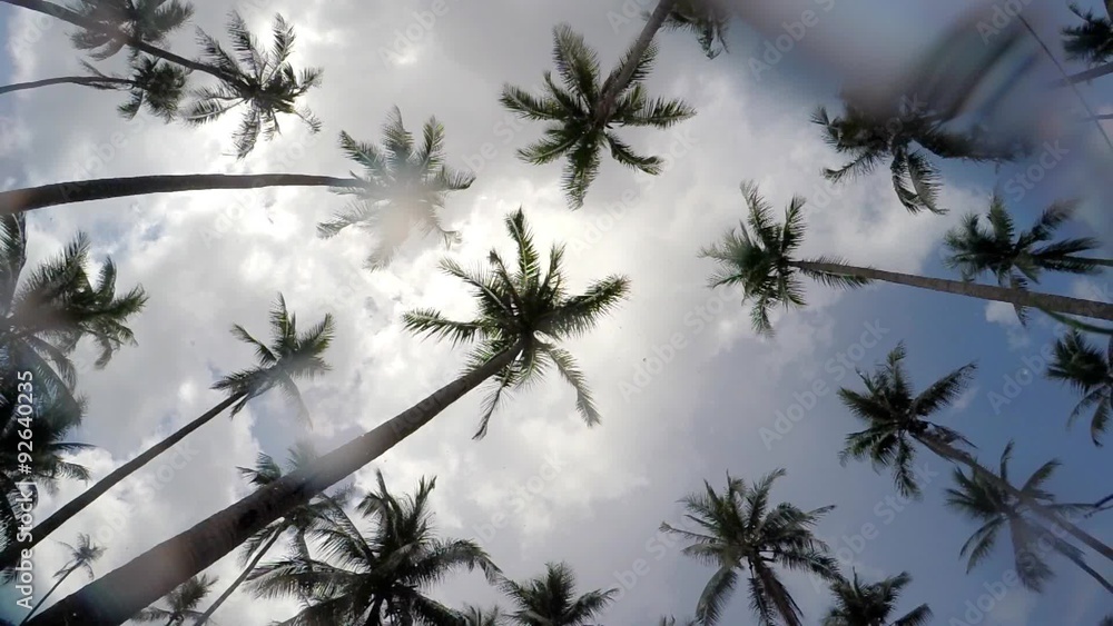 Rainy Season on Tropical Island - Raining on Palm Trees against Rainy Season on Tropical Island - Raining on Palm Trees against