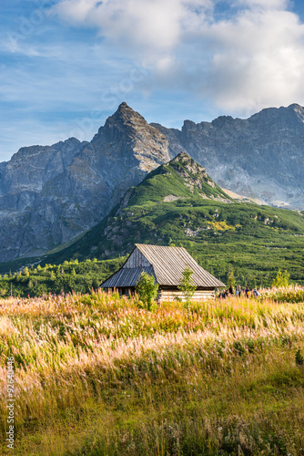 Polish Tatra mountains Hala Gąsienicowa