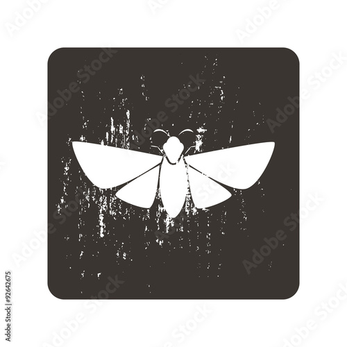 Butterfly icon © LynxVector