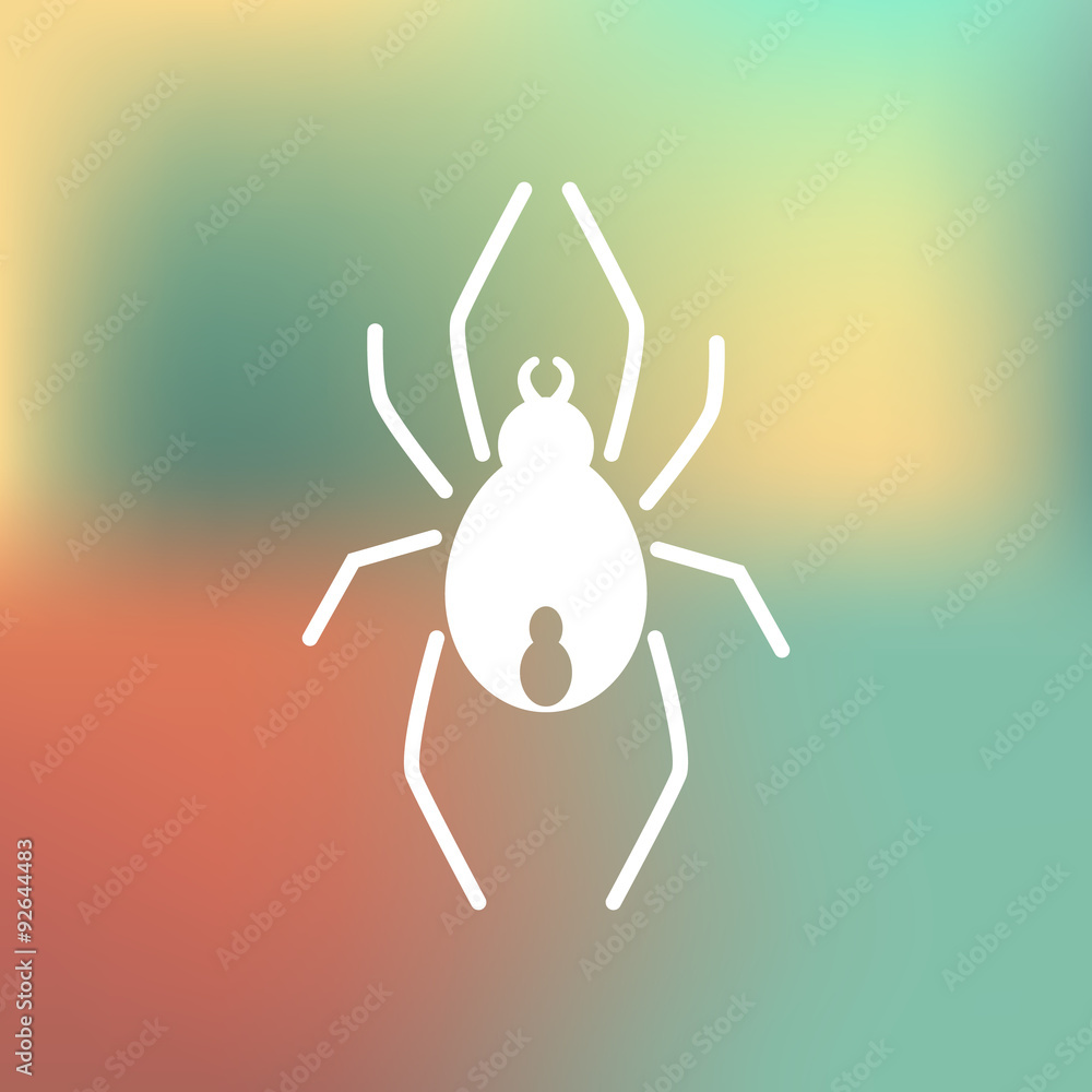 Spider icon Spider icon