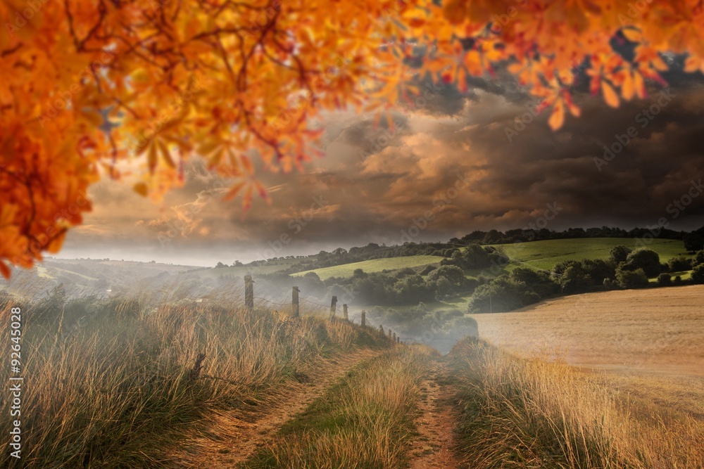 Composite image of autumn leaves - obrazy, fototapety, plakaty 