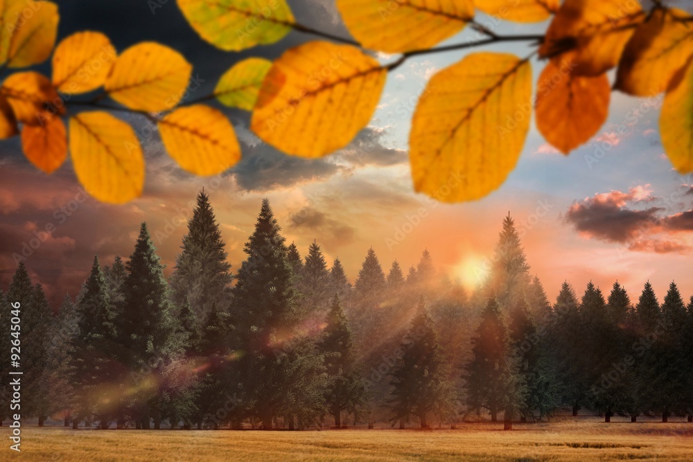 Fototapeta premium Composite image of autumn leaves