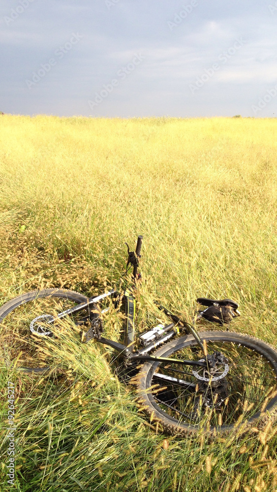 Naklejka premium Pausa in campo di grano