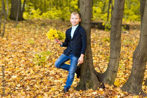 boy with autumn leaves