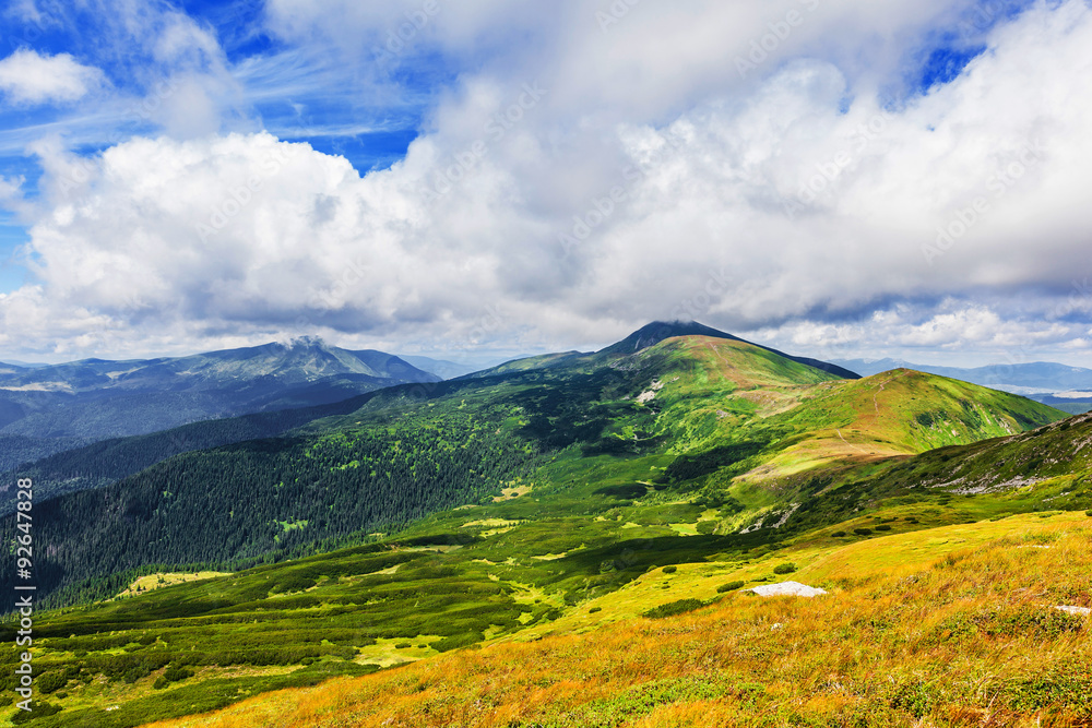 Fototapeta premium summer landscape