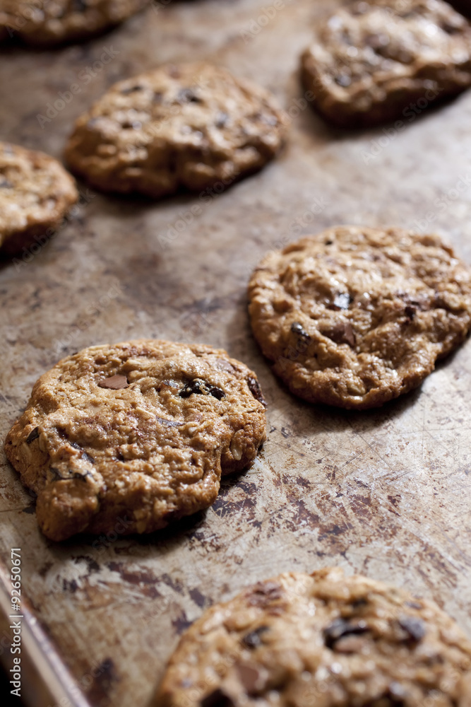 Freshly Baked Cookies Freshly Baked Cookies