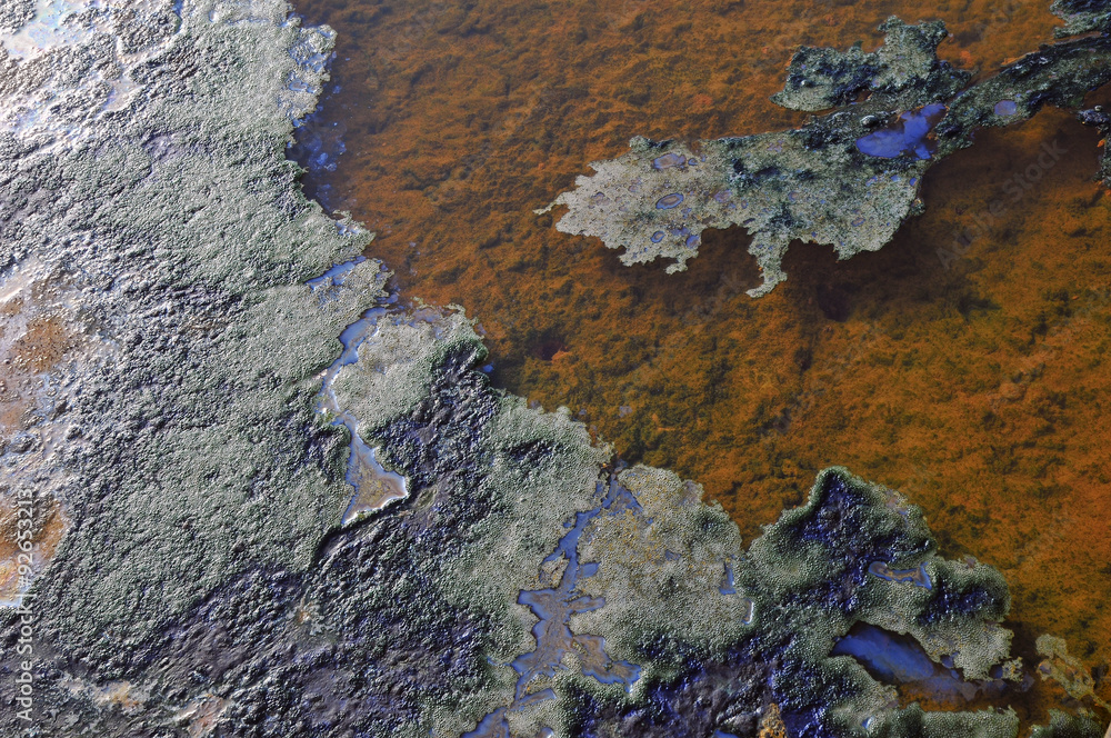 Landmannalaugar national mountain park in Iceland warm spring