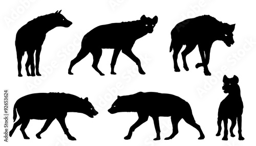 Valokuva hyena silhouettes