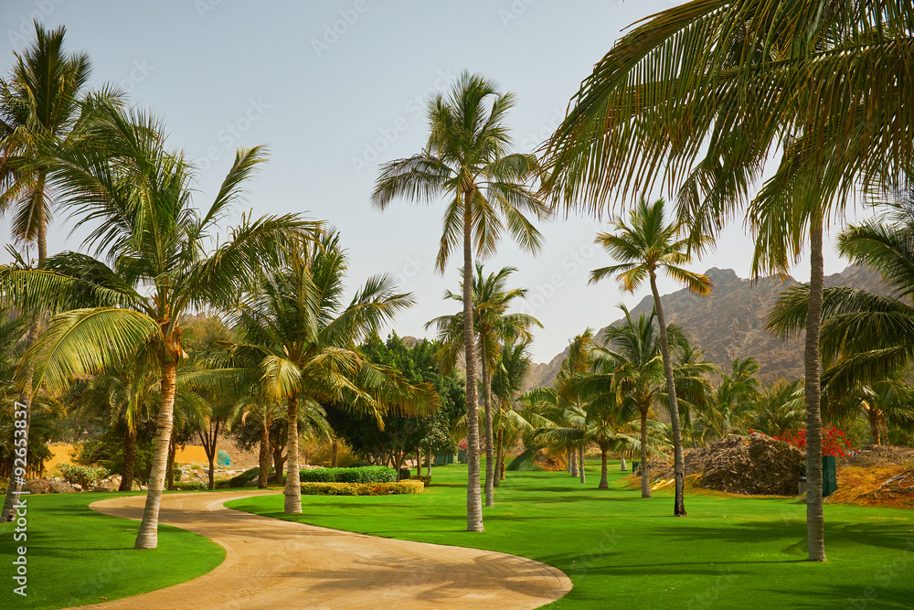 Way to beach in tropical resort. Way to beach in tropical resort.