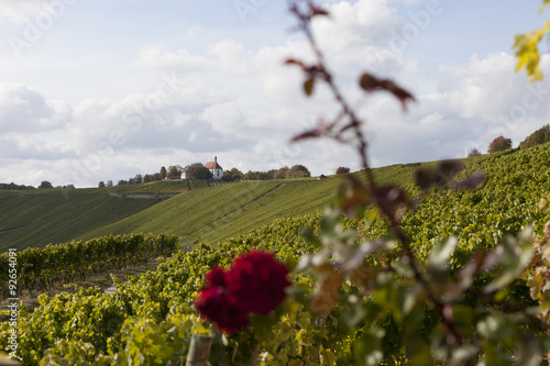 romantic vineyards landscape white little white church photo