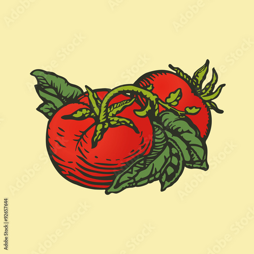 Tomatoes woodcut