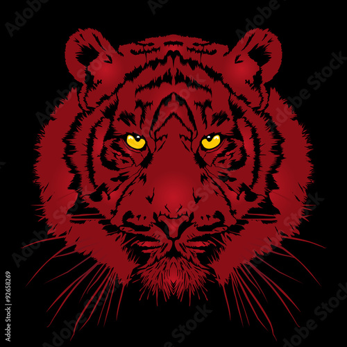 Fototapeta Naklejka Na Ścianę i Meble -  Tiger head - vector illustration