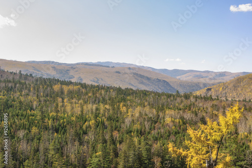 Far Eastern taiga. Autumn hills and mountains in autumn colors.