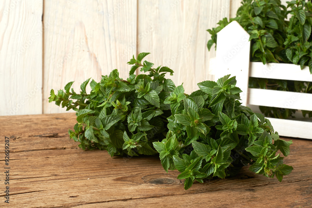 bunch of fresh spearmint on wooden bench bunch of fresh spearmint on wooden bench