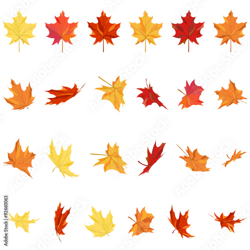 Maple Leaves Set