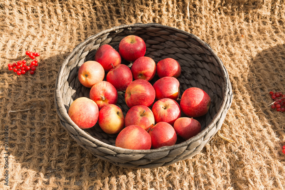 Ripe apples in a wicker basket