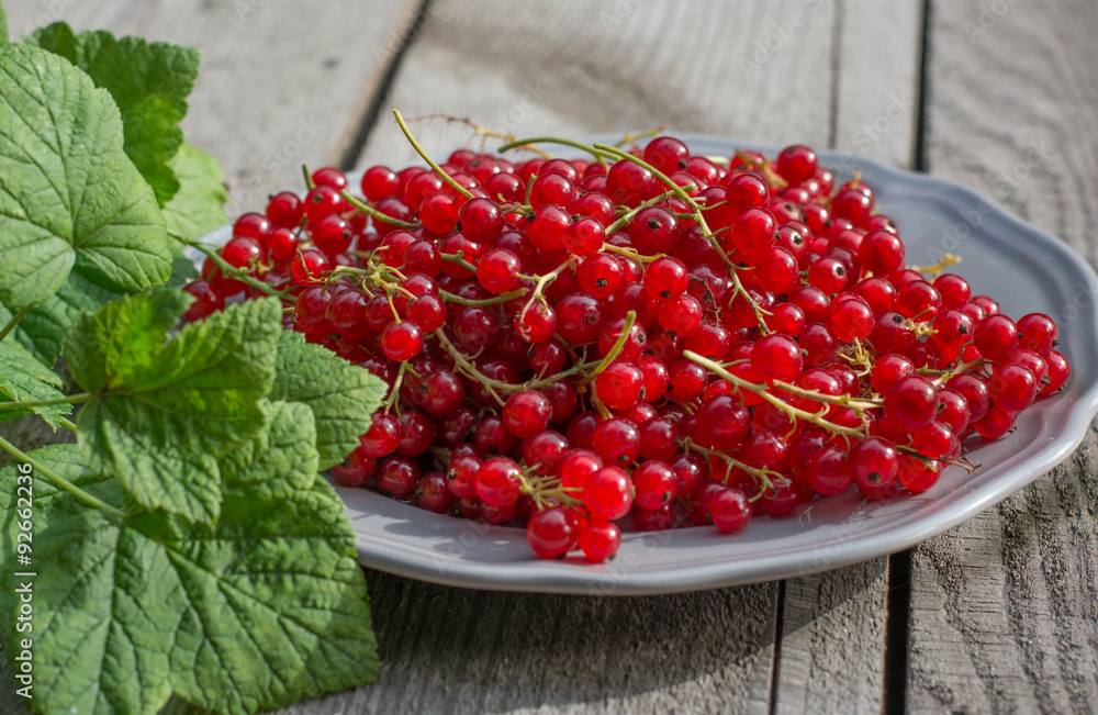 red currant on plate red currant on plate