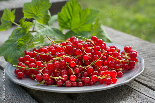 red currant on plate
