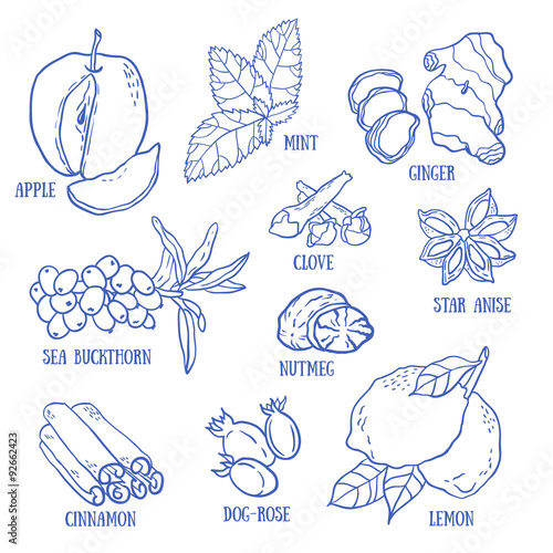 Seamless vector pattern with spices, berries and fruits for autumn beverages. Vector hand drawn illustration.