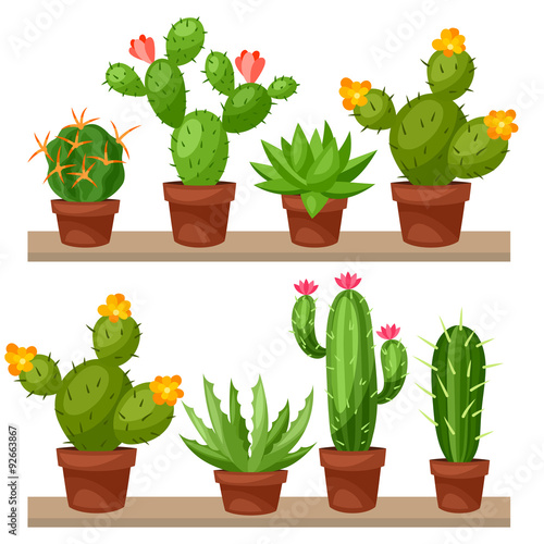 Collection of abstract cactuses in flower pot on shelves